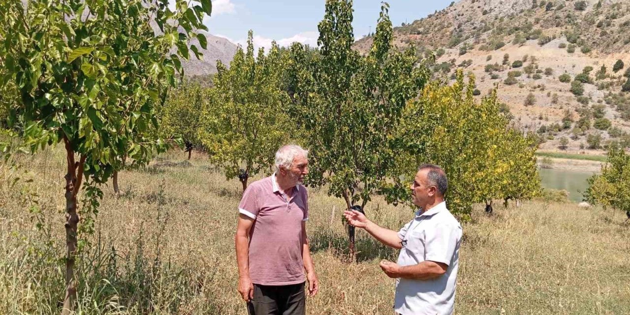 74 Yaşındaki Öğretmen 19 Bin Ağacı Toprakla Buluşturdu